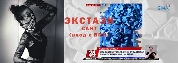 индика Гусиноозёрск