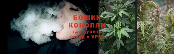 ECSTASY Остров