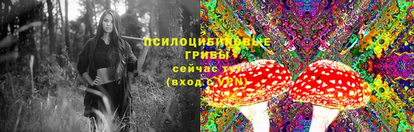 MESCALINE Пересвет
