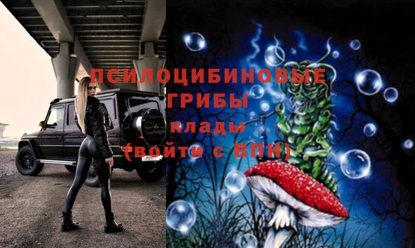 стаф Осташков