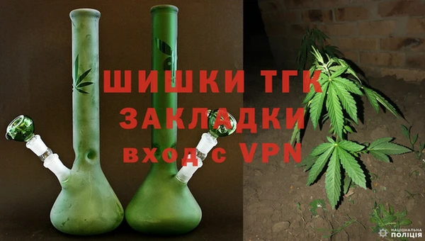стаф Осташков